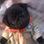 Diane Holdsworth Legg's profile image