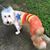 Pam Bathgate's profile image