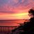 Debi Wilkinson's profile image