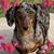 Kathy Ann Popelka's profile image