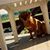 Rose Caro's profile image