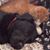 Patricia Valletta's profile image