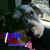 Jeannine Diane's profile image