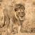 Lou Ann Hingley's profile image