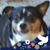 Rachael Kagey's profile image