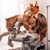Donna Disque's profile image