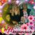 Milagros Rodriguez's profile image