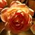 Nancy Smith's profile image