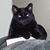 Mery Hart's profile image
