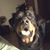 Danny Maye's profile image
