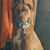 Beth Beavers Mitchell's profile image