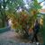 Mary Gladieux's profile image