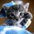 Sue Williams Gundich's profile image