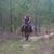 Angie Holman's profile image