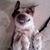 Richard J Parker Jr's profile image