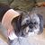 Jill Cooper Buchanan's profile image