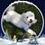 Peggy Landwehr Kossel's profile image