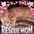 Amy Hudson's profile image
