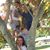 Melissa J Lawless's profile image
