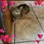Brenda Barkley Farley's profile image