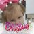 Lisa R. Duran's profile image