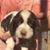 Kim White Stotts's profile image