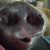 Kathryn Michelle Brandstrup's profile image