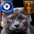 Ann Borgen Moore's profile image