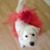 Rebecca Meyer's profile image