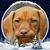 Katherine Cox's profile image