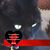 Alice Peninger Beasley's profile image