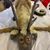 Margot Mac's profile image