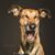 Faron Lathrom's profile image