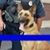 Sheryl L. Crawford-Hackett's profile image