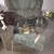 Ronald R Hosler's profile image