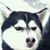 Michael Best's profile image