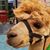 Jennifer Jd Medina's profile image