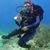 Carole Anderson's profile image