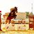 Mohamed Naji's profile image