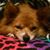 Kelly Fairbanks's profile image
