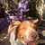 Joni Remington's profile image