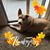 Marla N. Morris's profile image