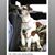 Keri Vigliotti McCann's profile image