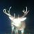 James P. Waggle Jr.'s profile image