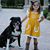 Jenny Engel Nordfors's profile image