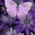 Sharon Dodson's profile image