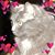 Cathy Curry's profile image