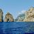 Donna Sperounis's profile image