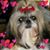 Donna Teet Gano's profile image