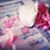 Dania Mohamed's profile image